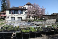 Das Vollzugszentrum Klosterfiechten mit Garten für den ambulanten und stationären Massnahmenvollzug. 